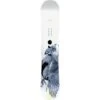 Capita Birds Of A Feather Snowboard - Women's 1 Capita Birds Of A Feather Snowboard - Women's -Ski Equipment Shop fw23 rst04 boaf 146