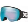 Oakley Prizm Flight Path XL Goggle -Ski Equipment Shop oo7110 07